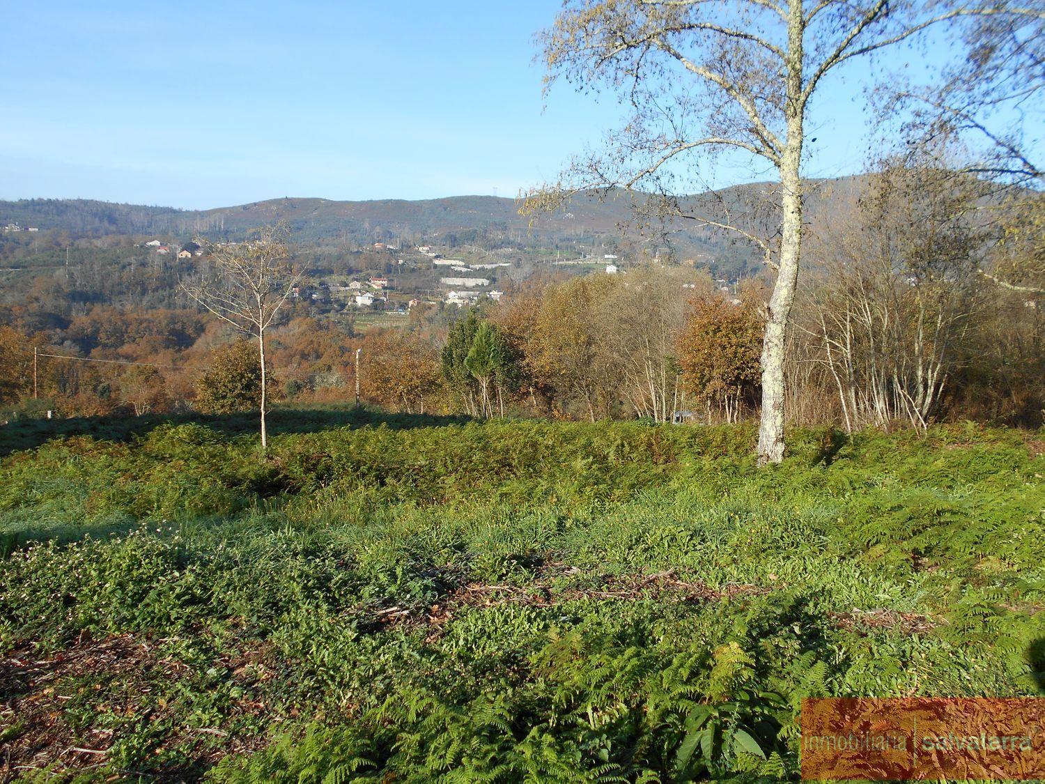 Venta de finca rústica en As neves