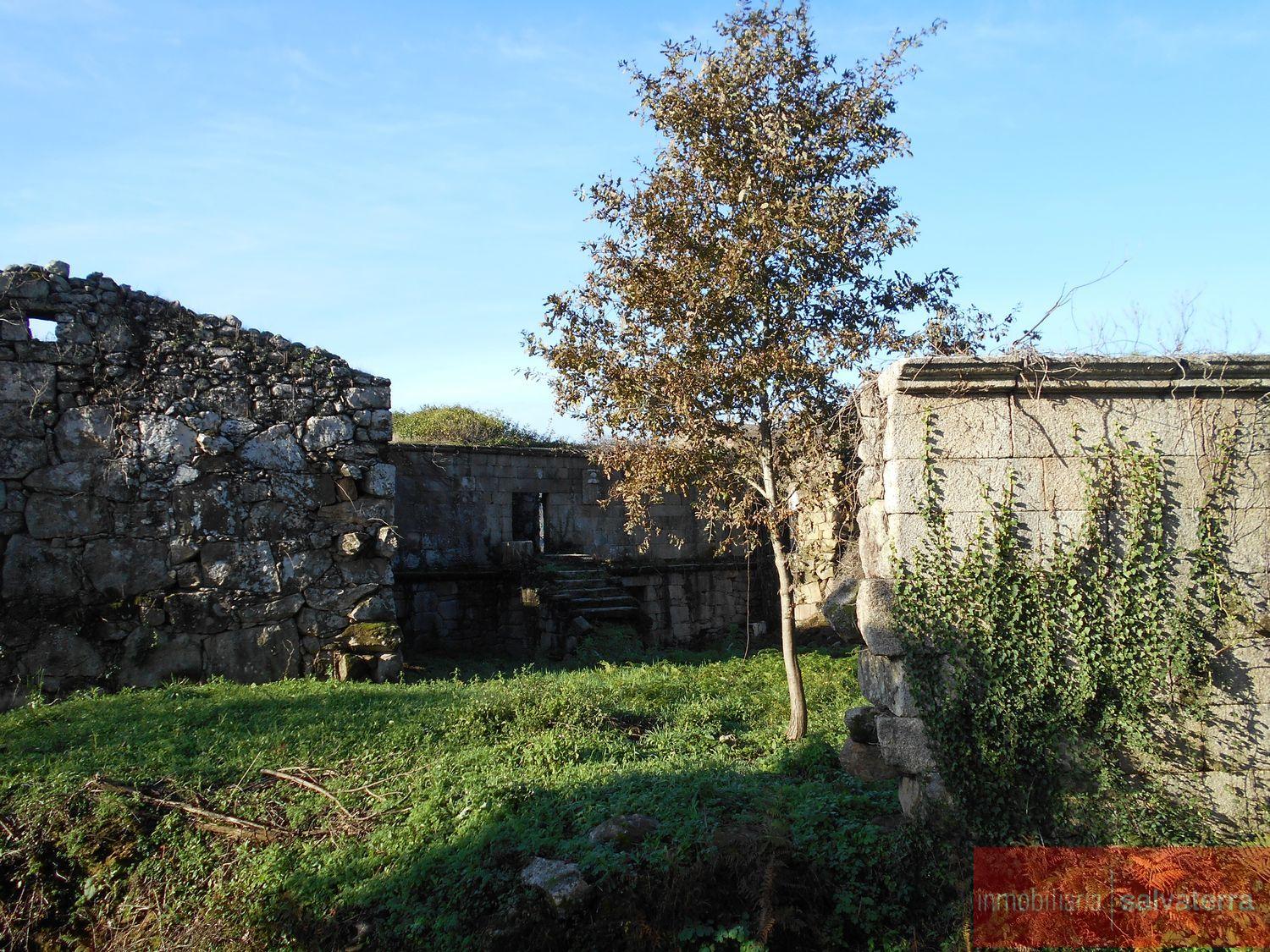 Venta de finca rústica en As neves