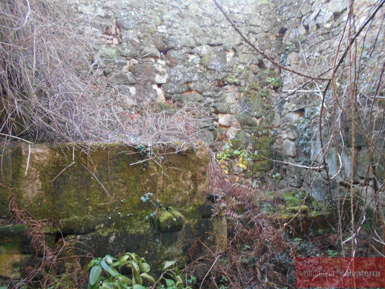 Venta de finca rústica en As neves