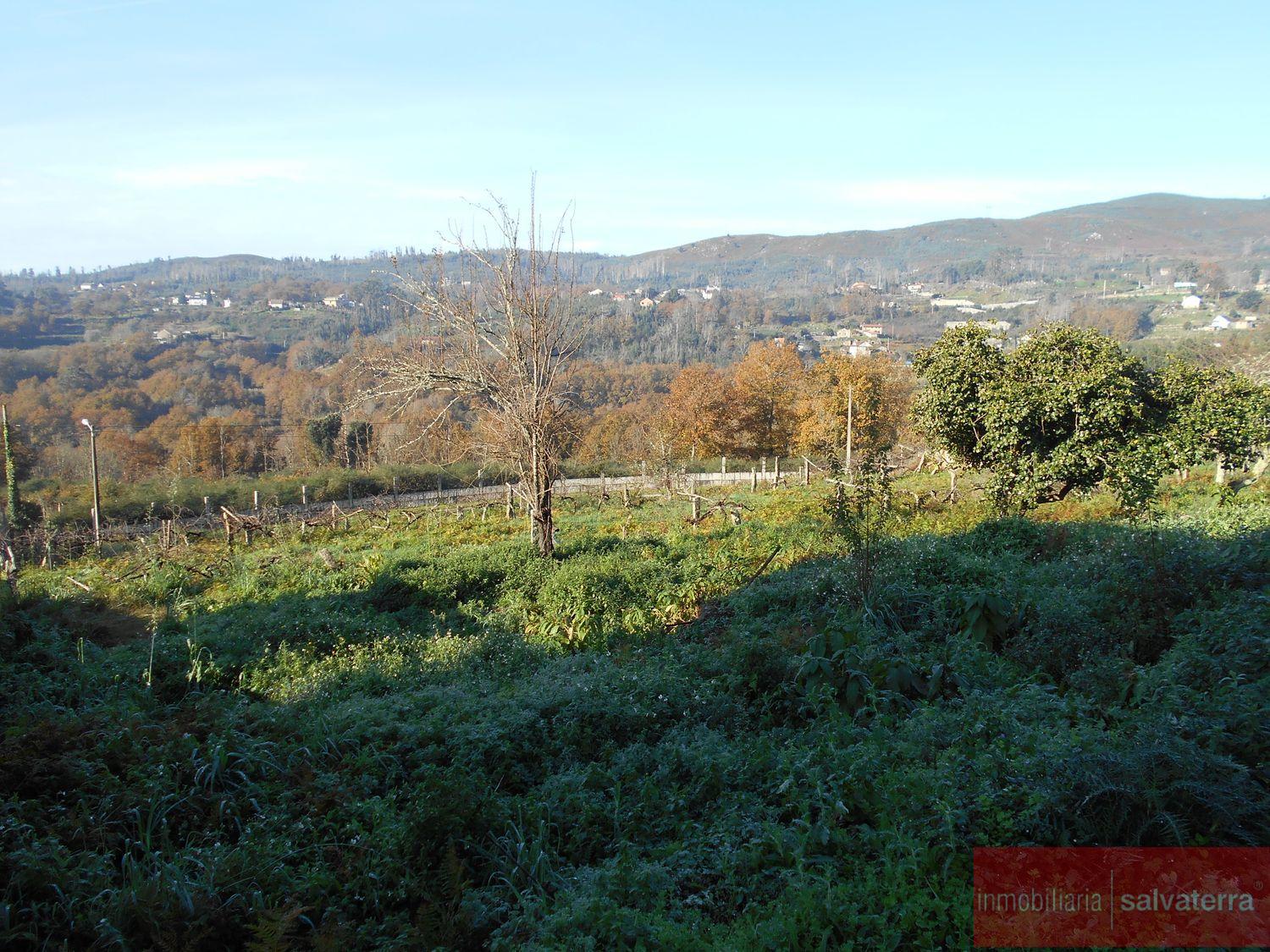 Venta de finca rústica en As neves
