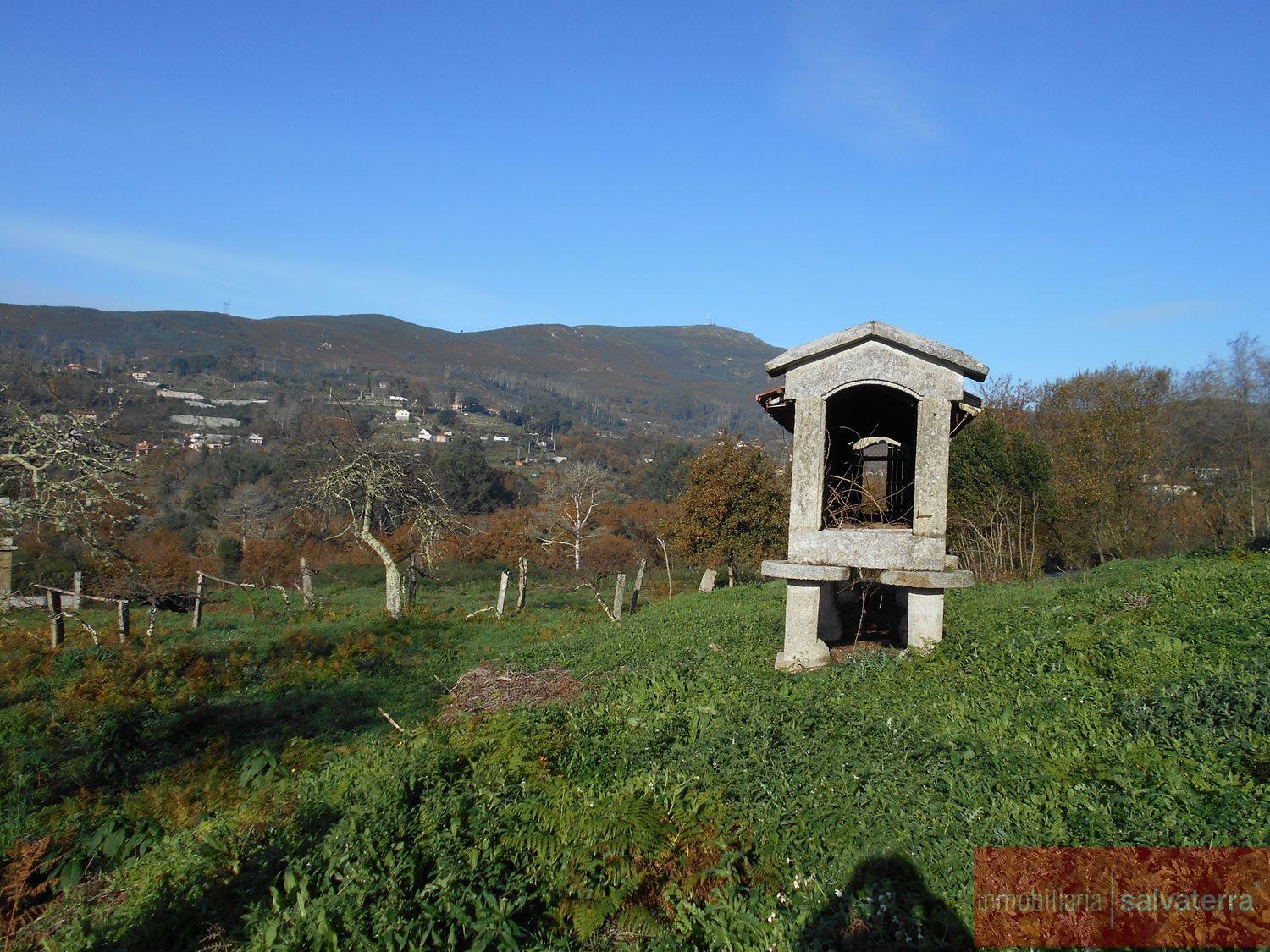 Venta de finca rústica en As neves