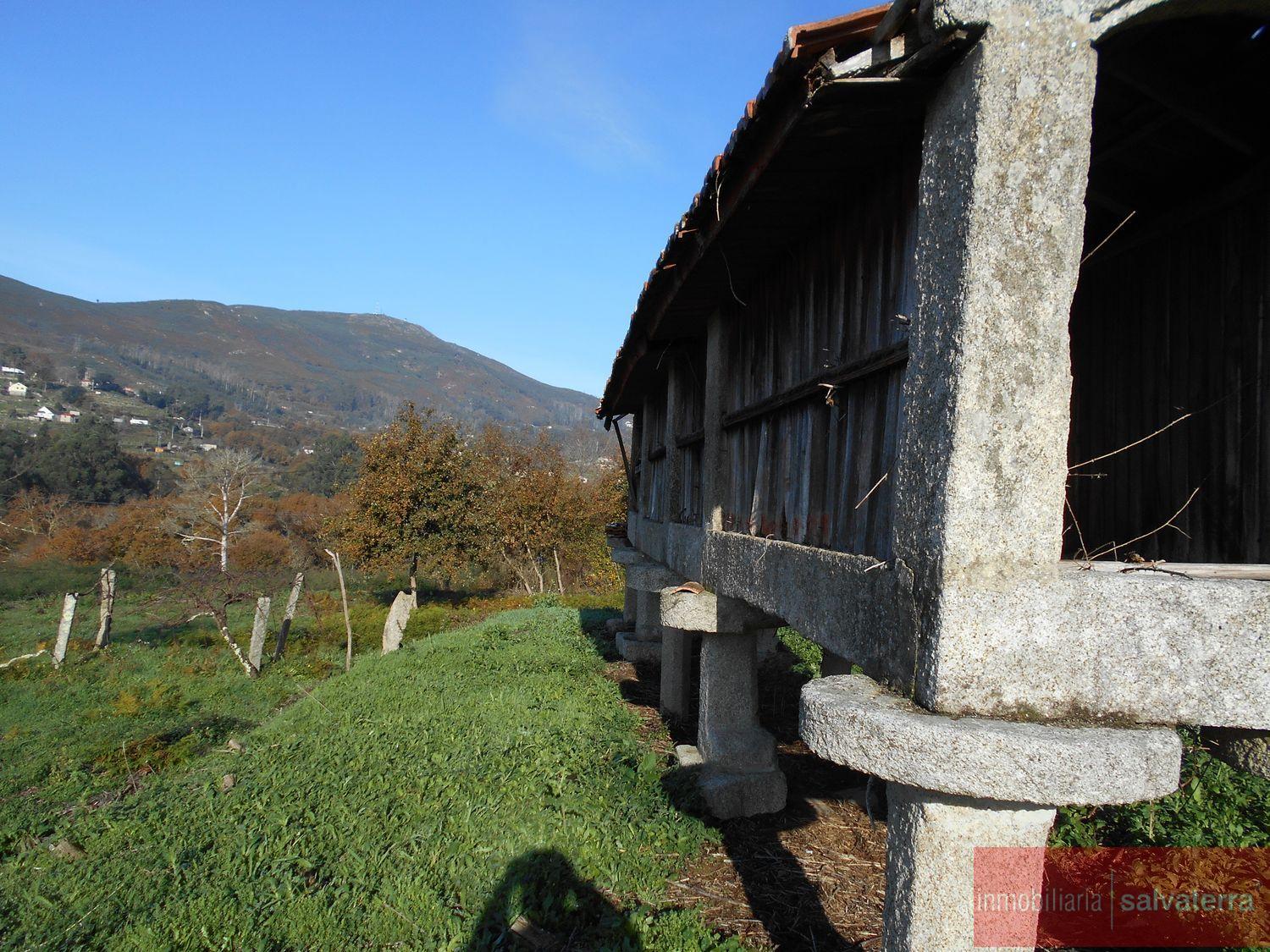 Venta de finca rústica en As neves