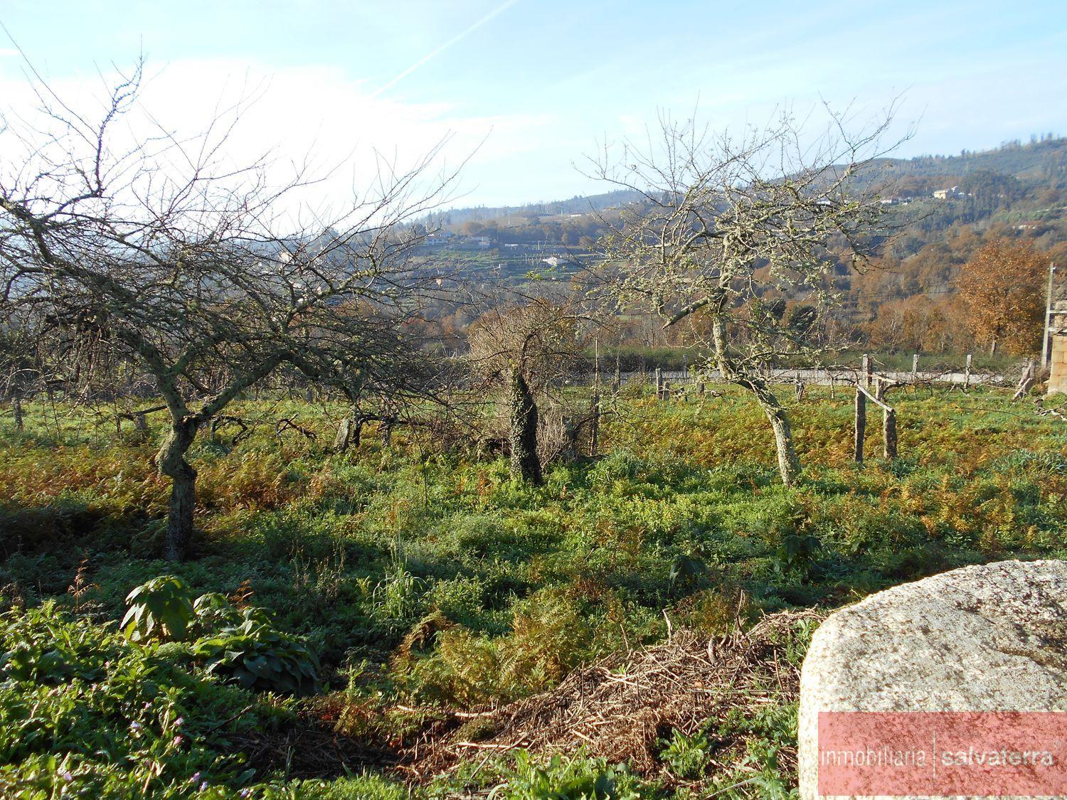 Venta de finca rústica en As neves