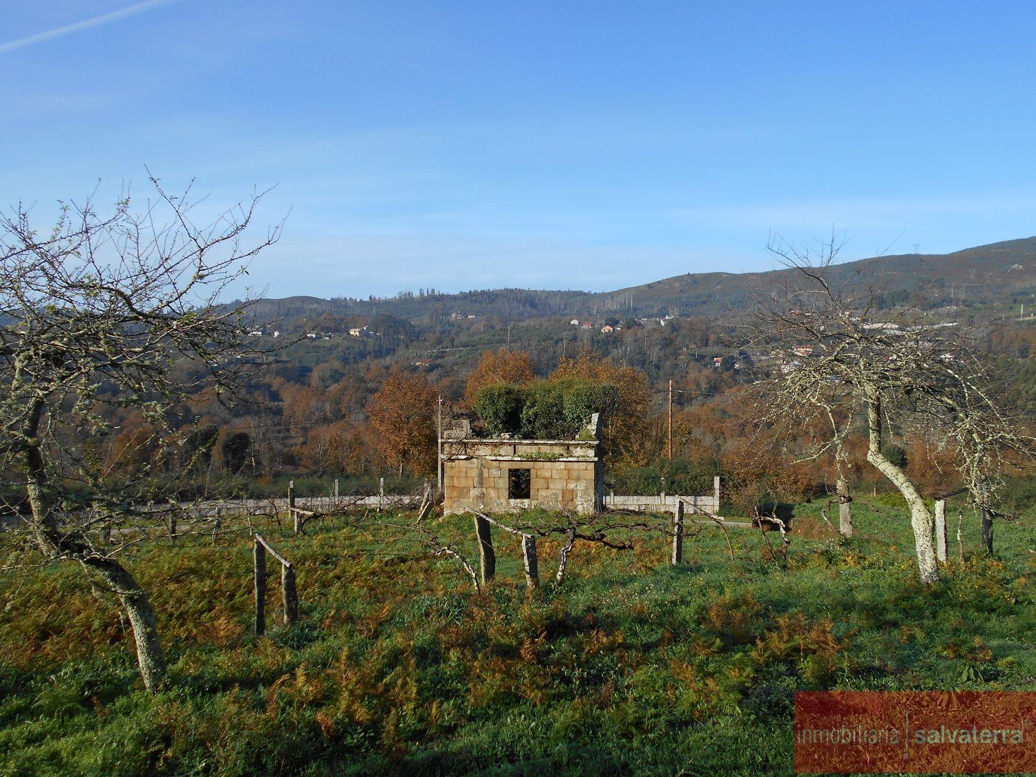 Venta de finca rústica en As neves