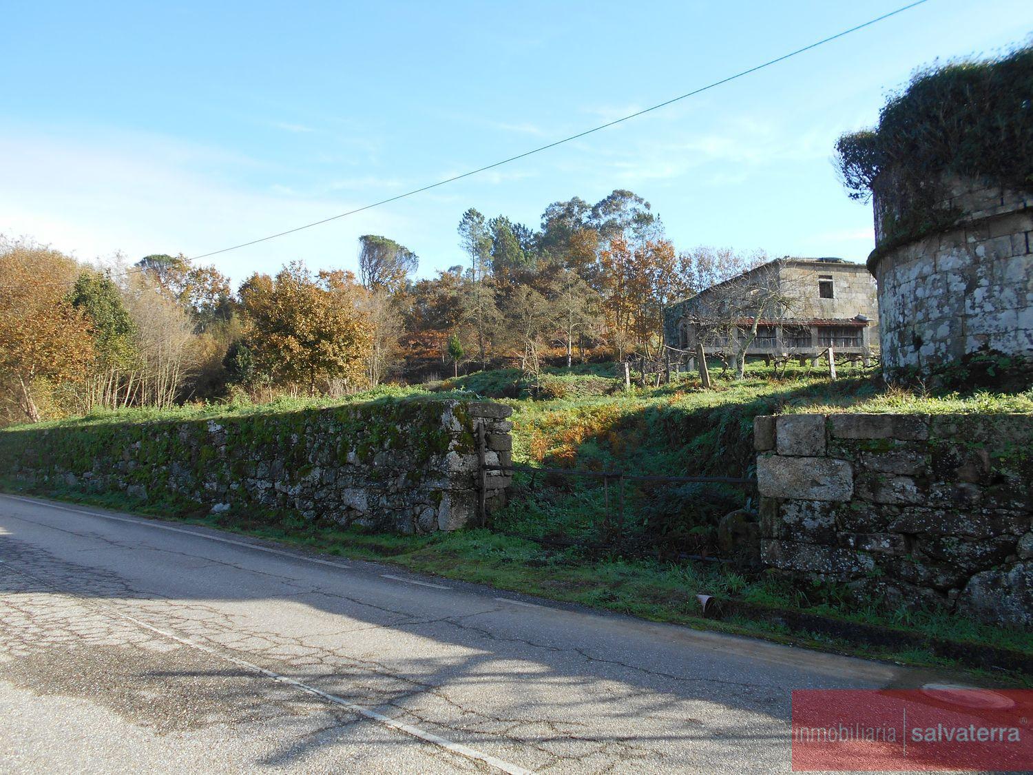 Venta de finca rústica en As neves