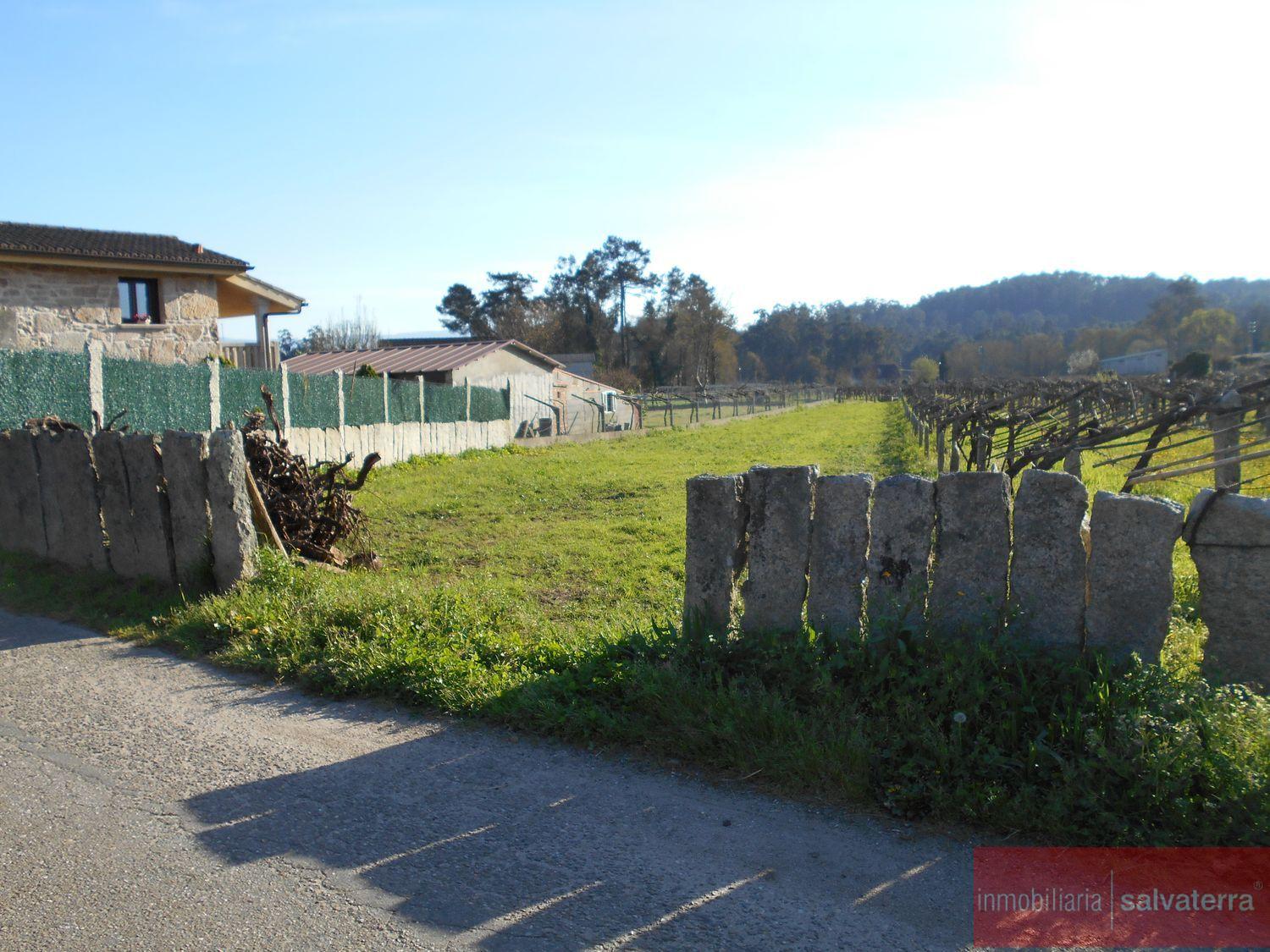 For sale of land in Salvaterra de miño