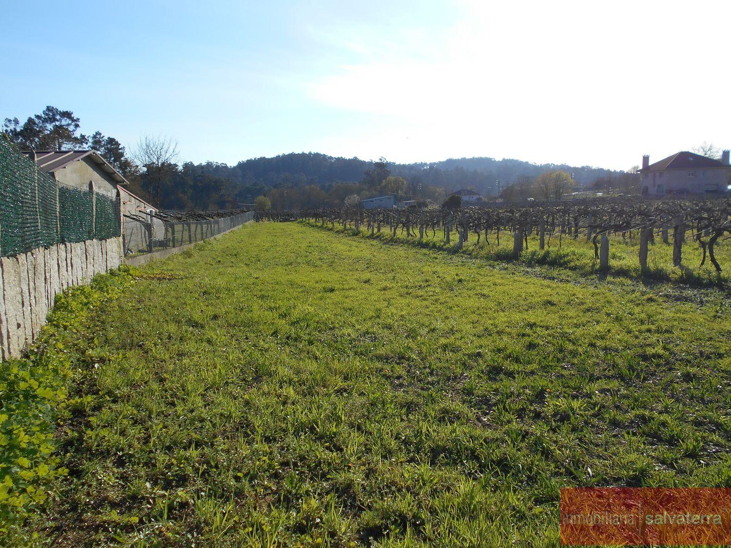 For sale of land in Salvaterra de miño