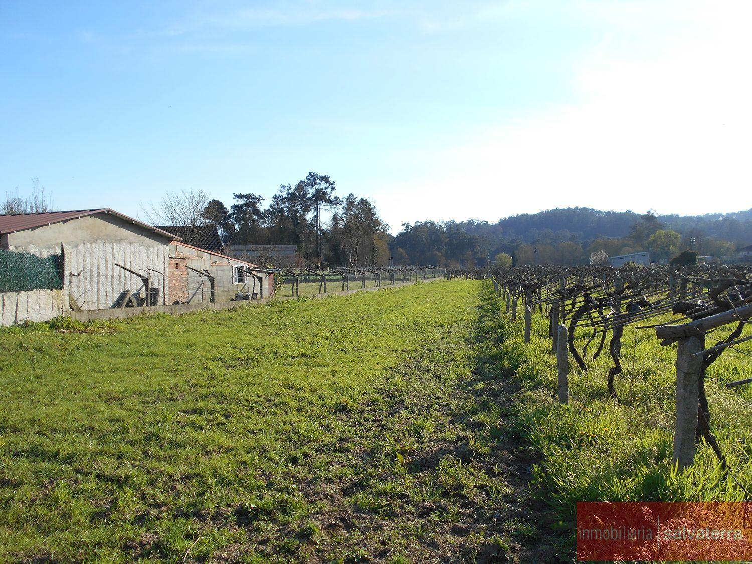 For sale of land in Salvaterra de miño