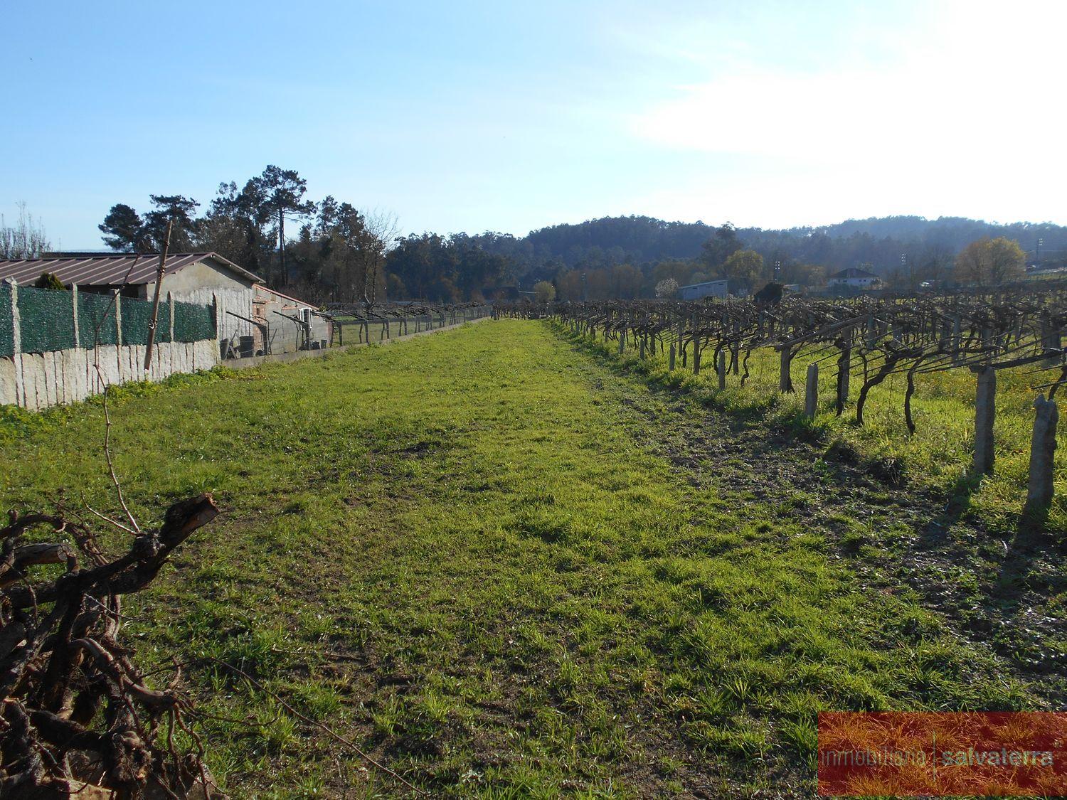 For sale of land in Salvaterra de miño