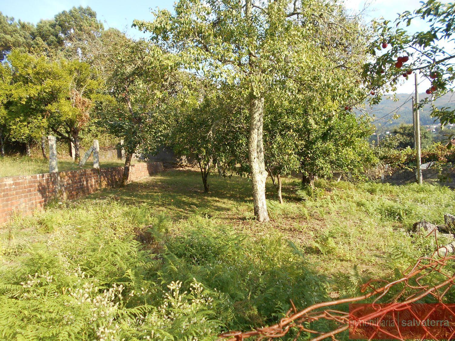 Venta de finca rústica en Arbo