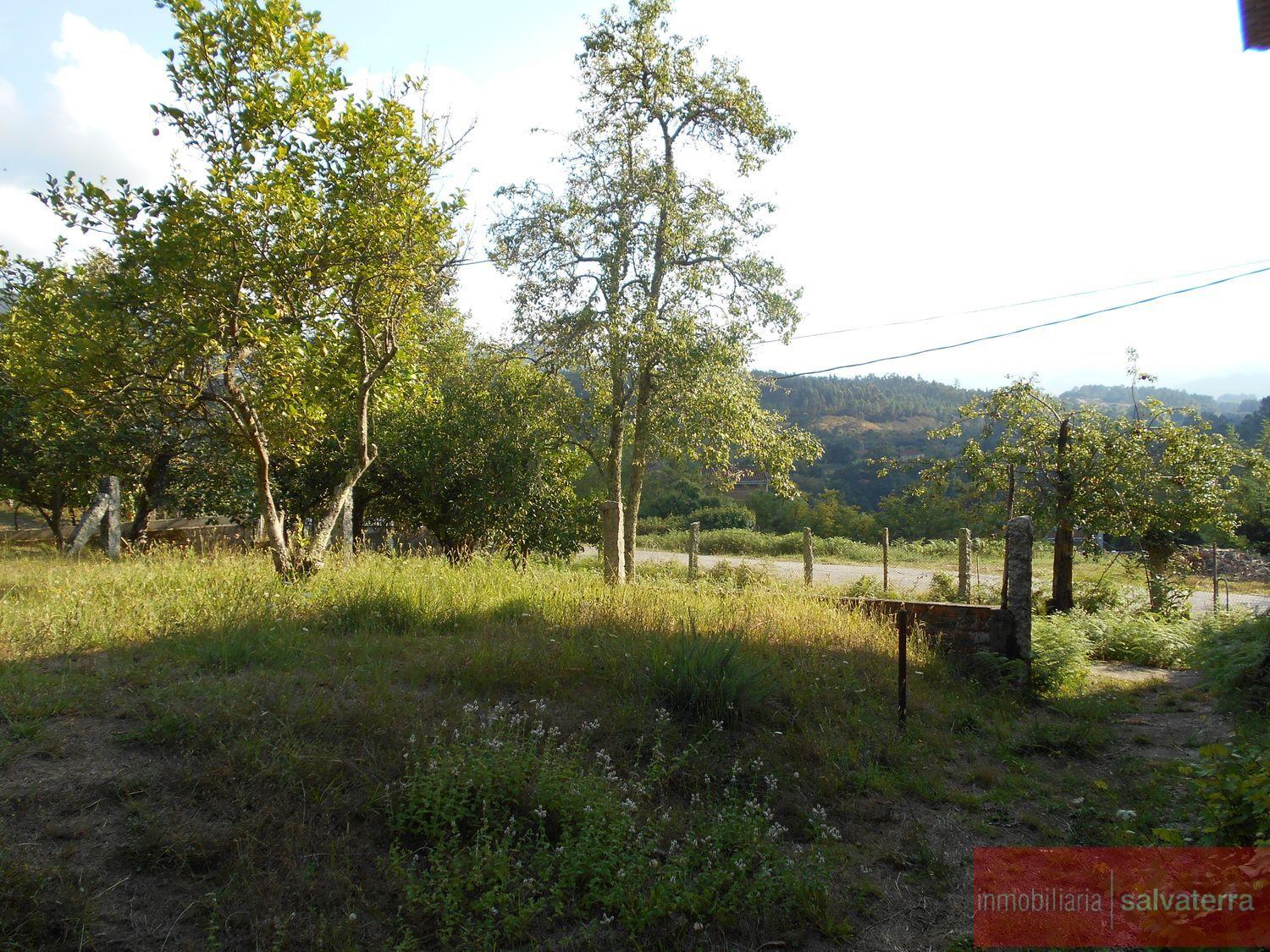 Venta de finca rústica en Arbo