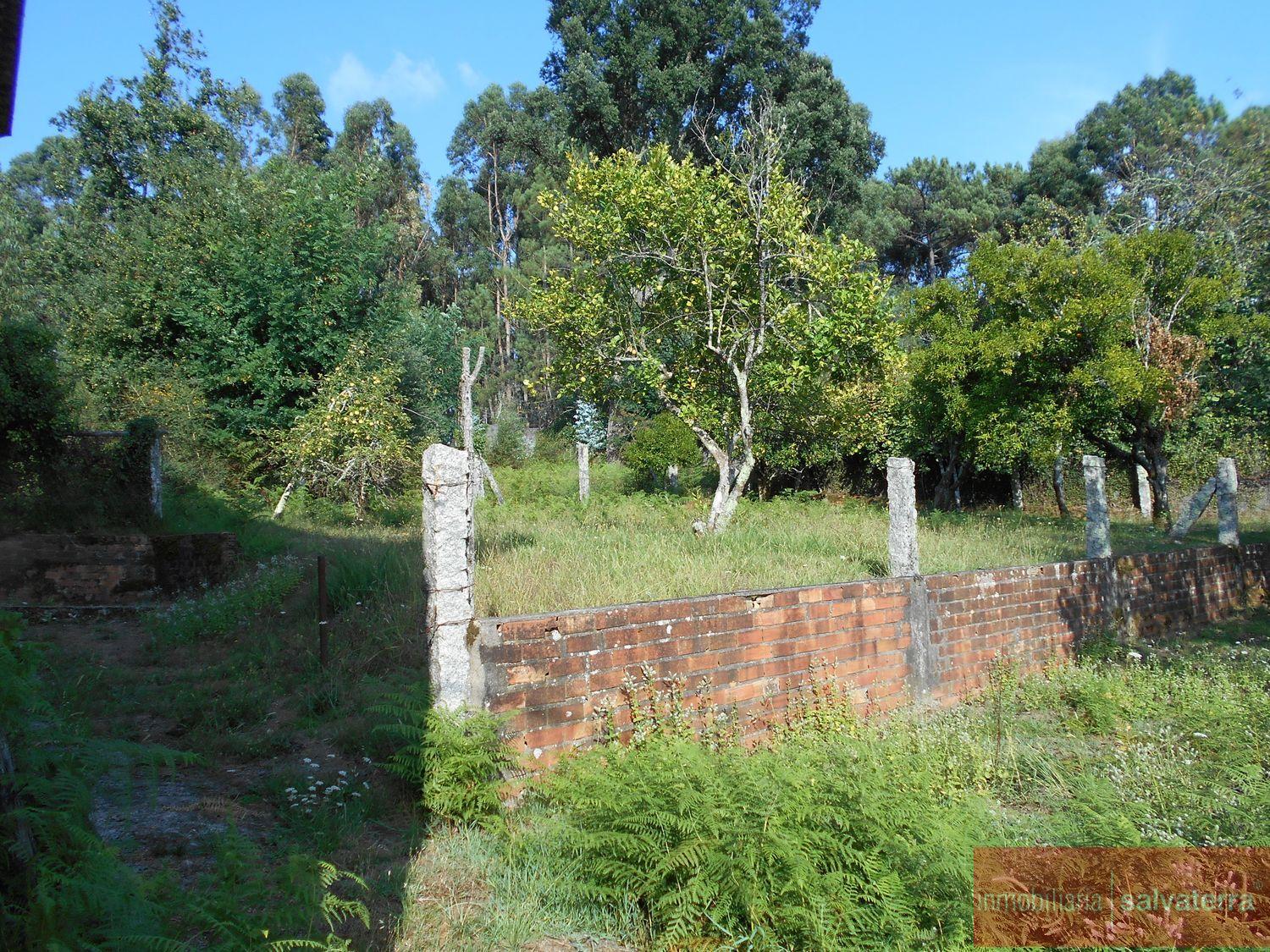 Venta de finca rústica en Arbo