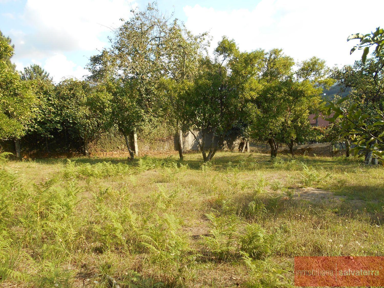 Venta de finca rústica en Arbo