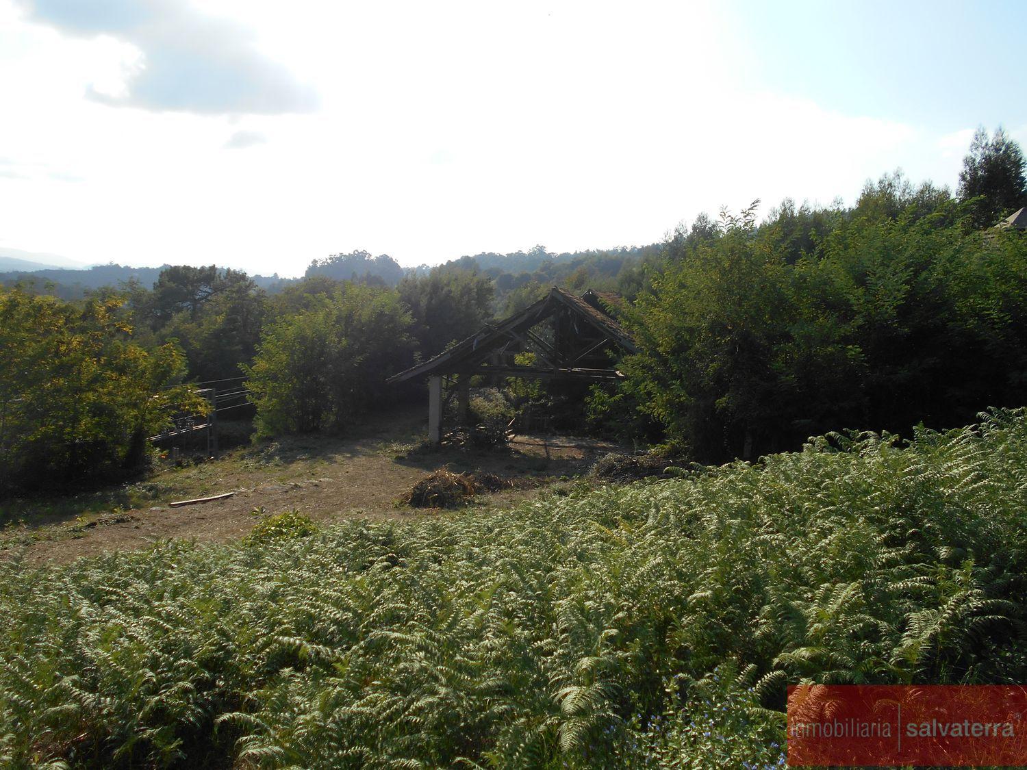 Venta de finca rústica en Arbo