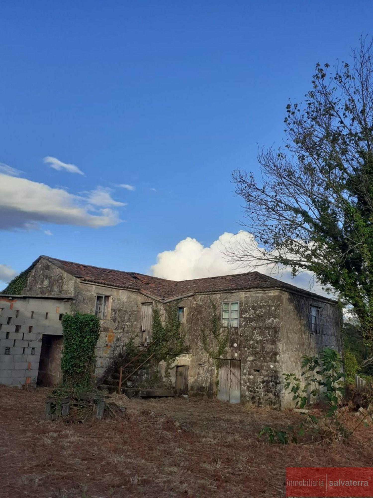 Venta de finca rústica en As neves