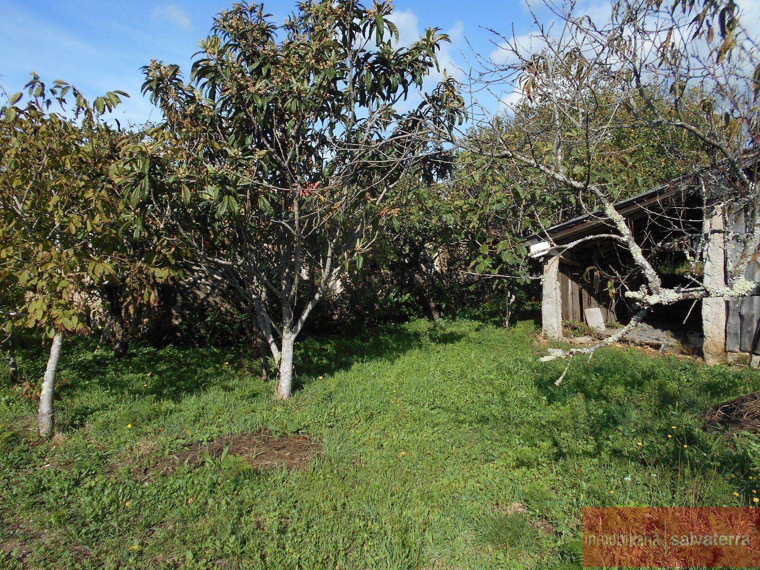 For sale of rural property in As neves