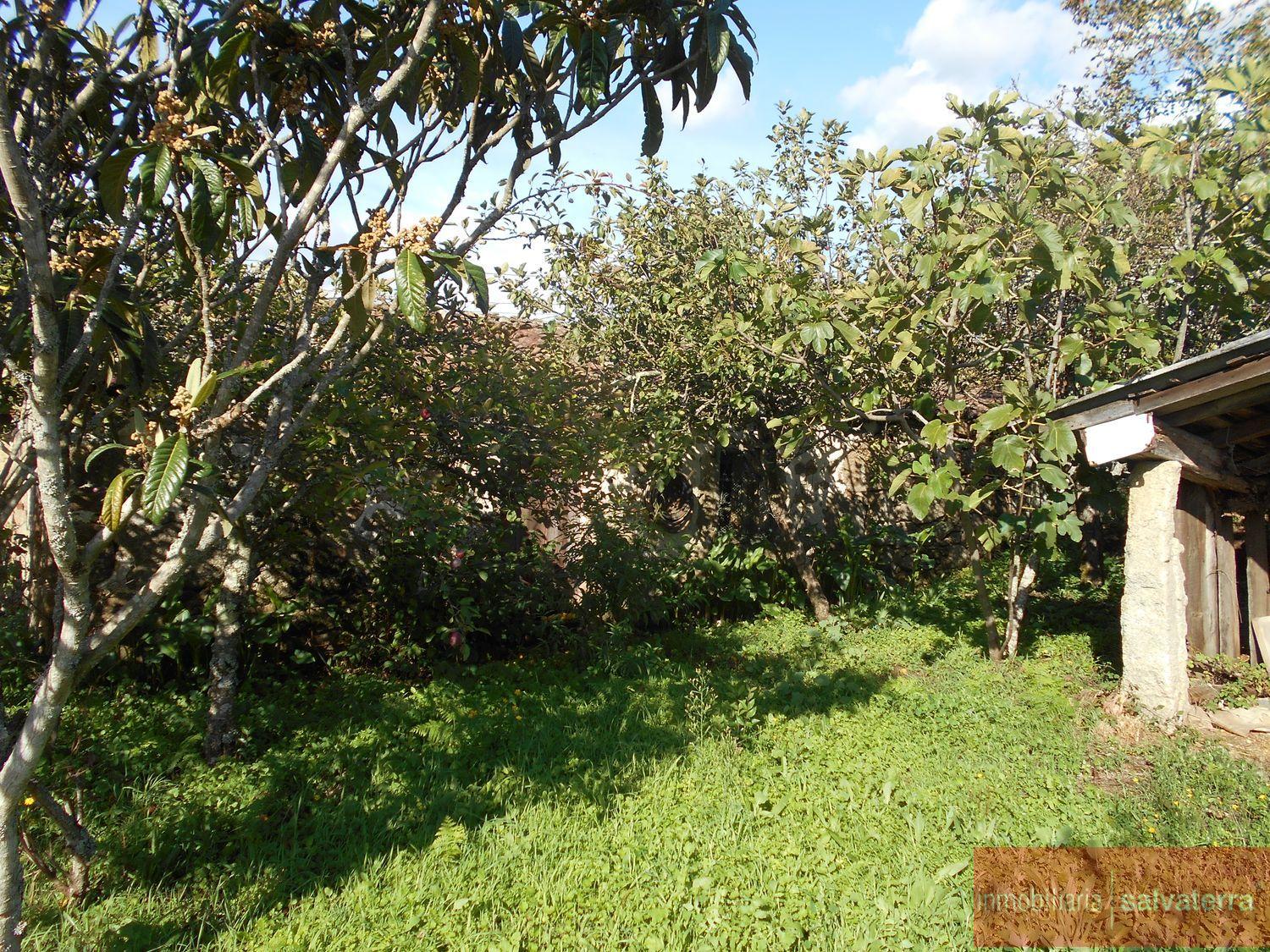 For sale of rural property in As neves