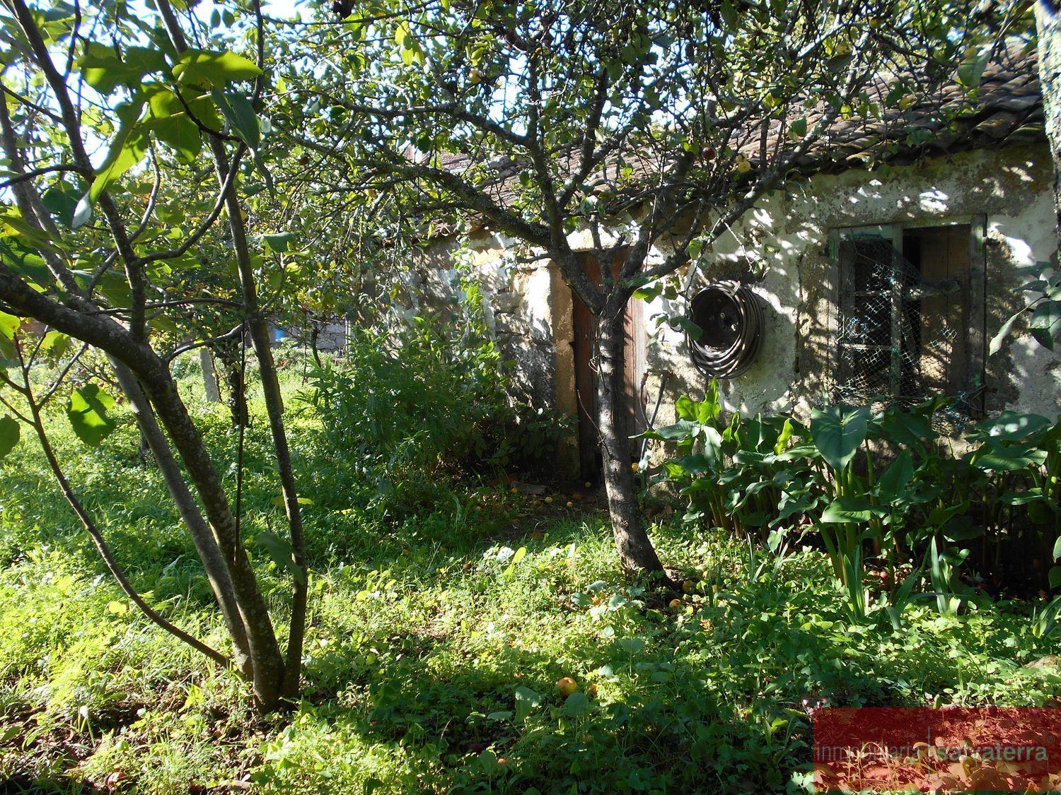 For sale of rural property in As neves