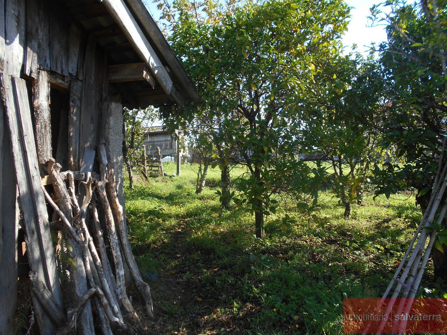 For sale of rural property in As neves