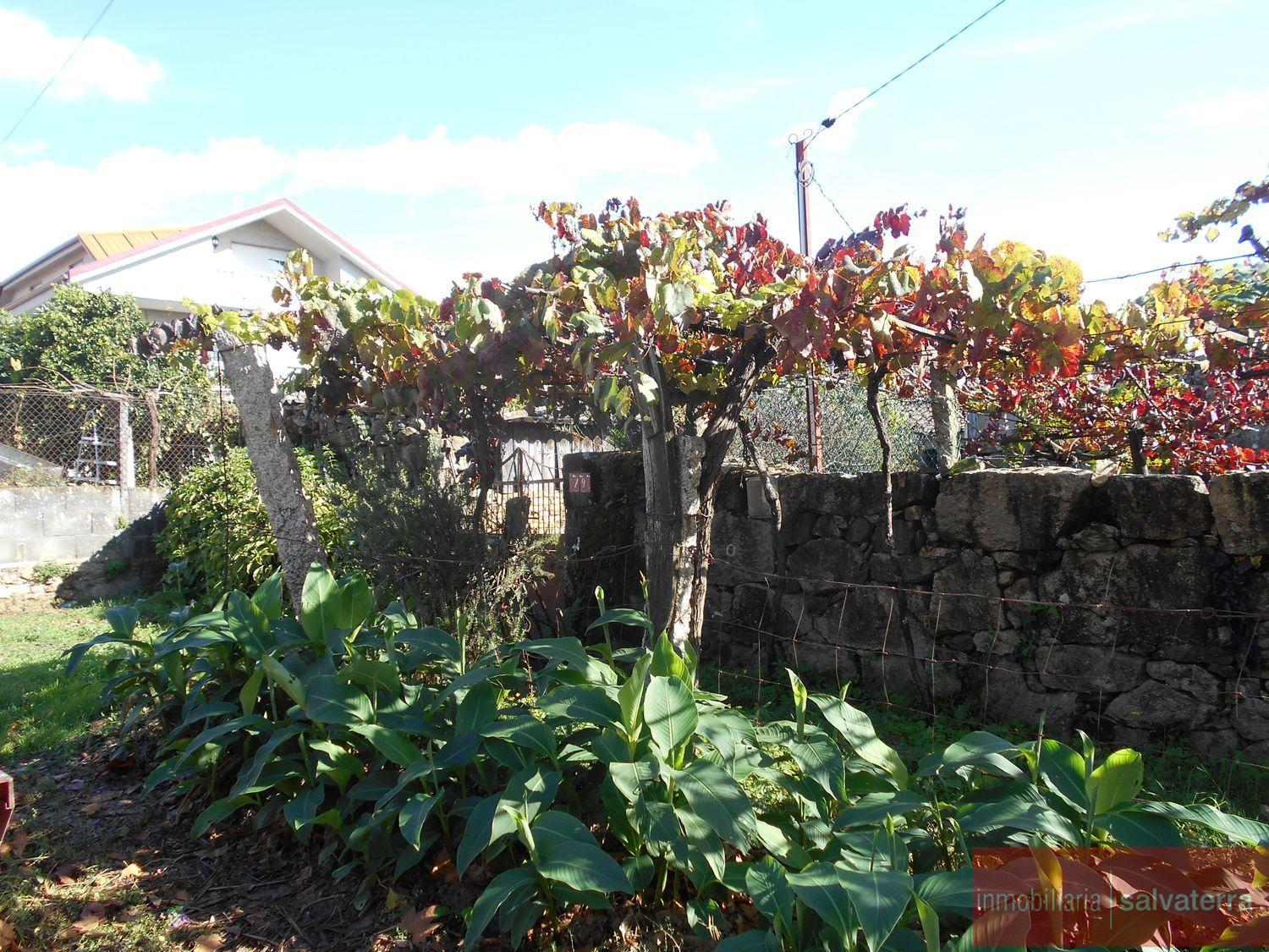 For sale of rural property in As neves