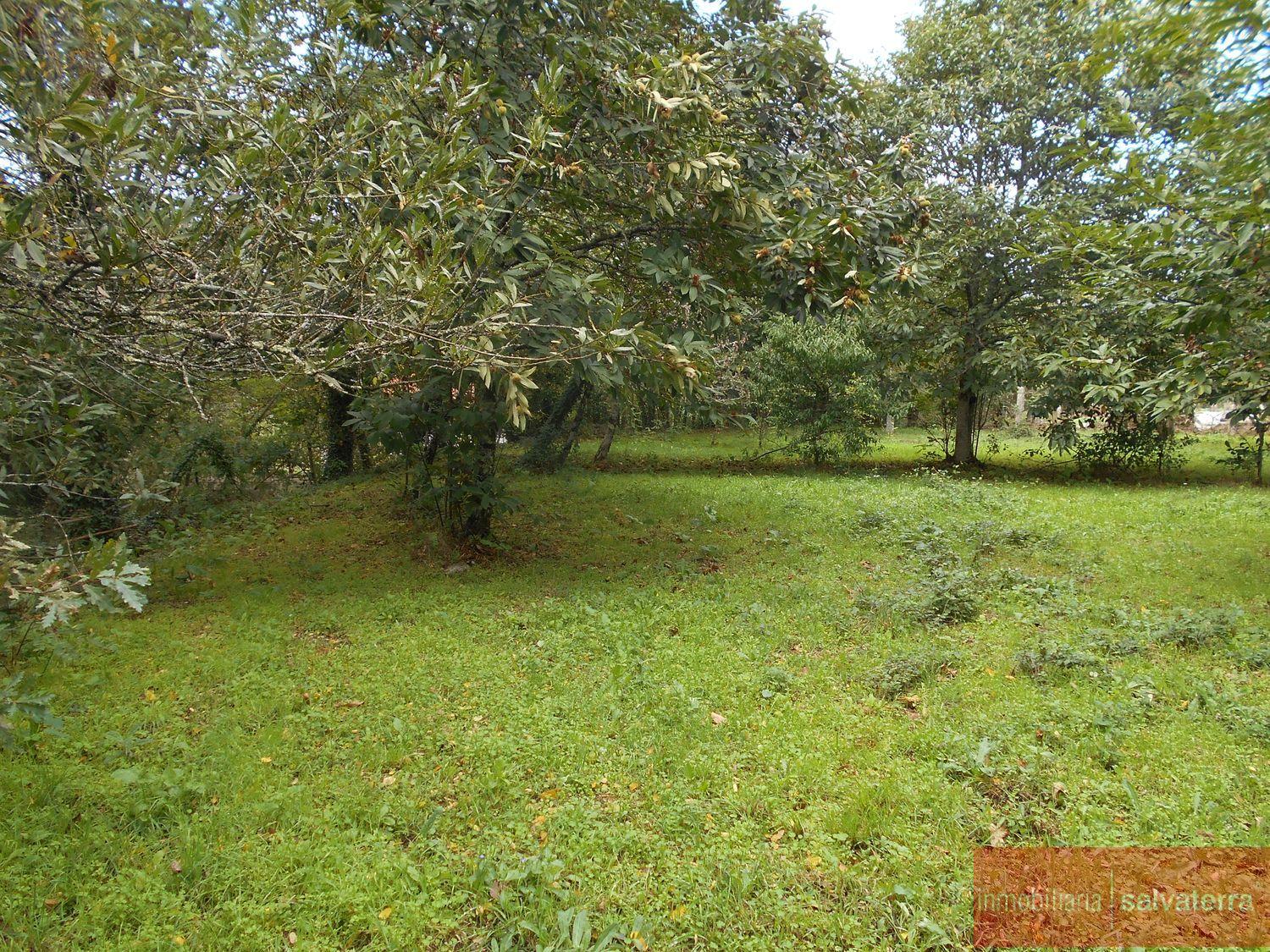 For sale of land in Salvaterra de miño