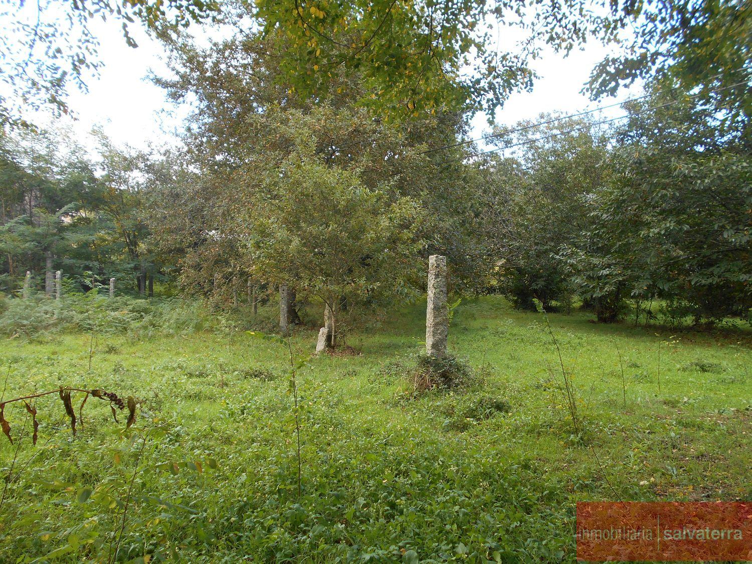 Venta de terreno en Salvaterra de miño