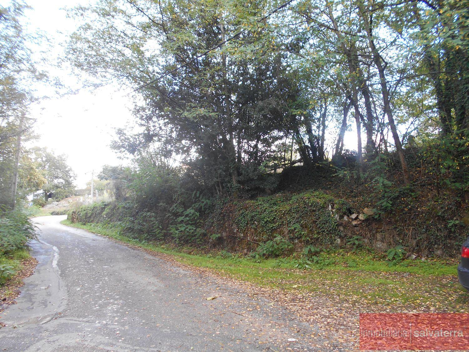 Venta de terreno en Salvaterra de miño