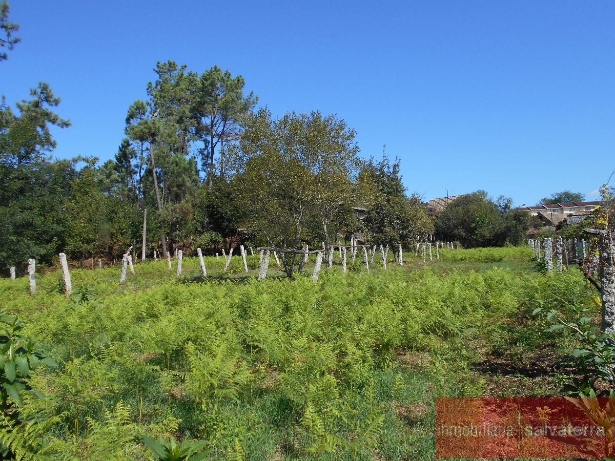 For sale of house in Salvaterra de Miño