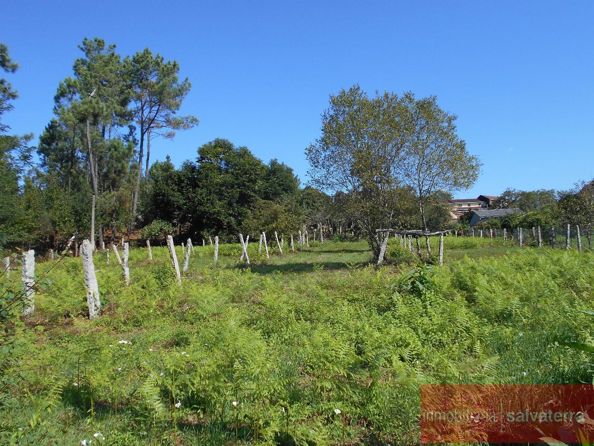 For sale of house in Salvaterra de Miño