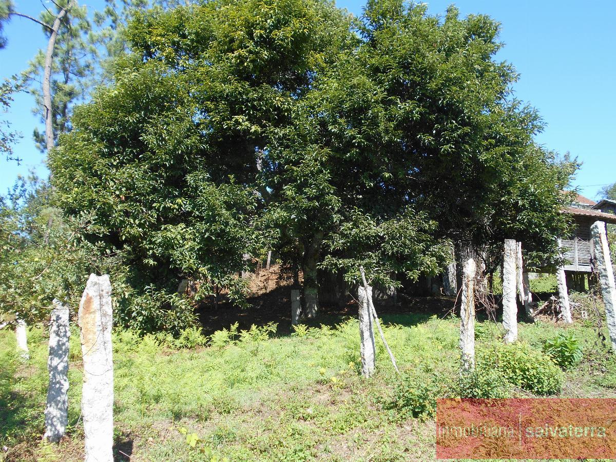 For sale of house in Salvaterra de Miño