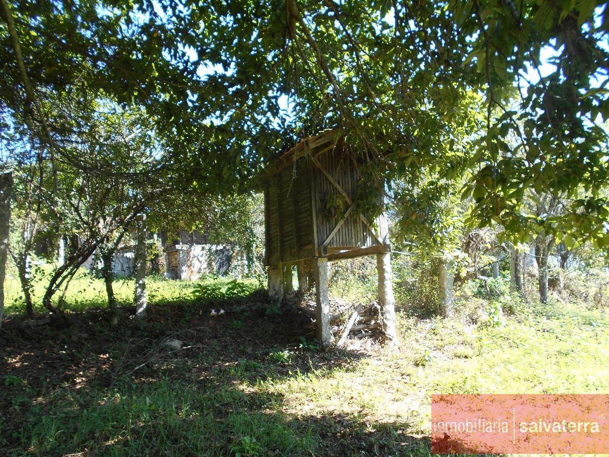 For sale of house in Salvaterra de Miño