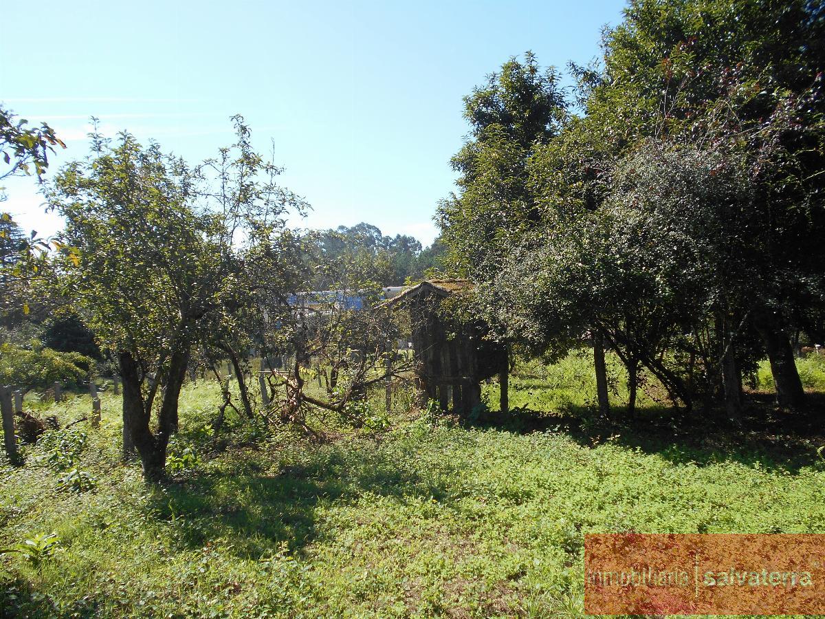 For sale of house in Salvaterra de Miño
