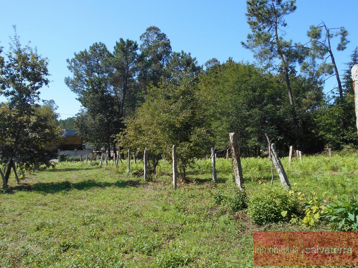For sale of house in Salvaterra de Miño