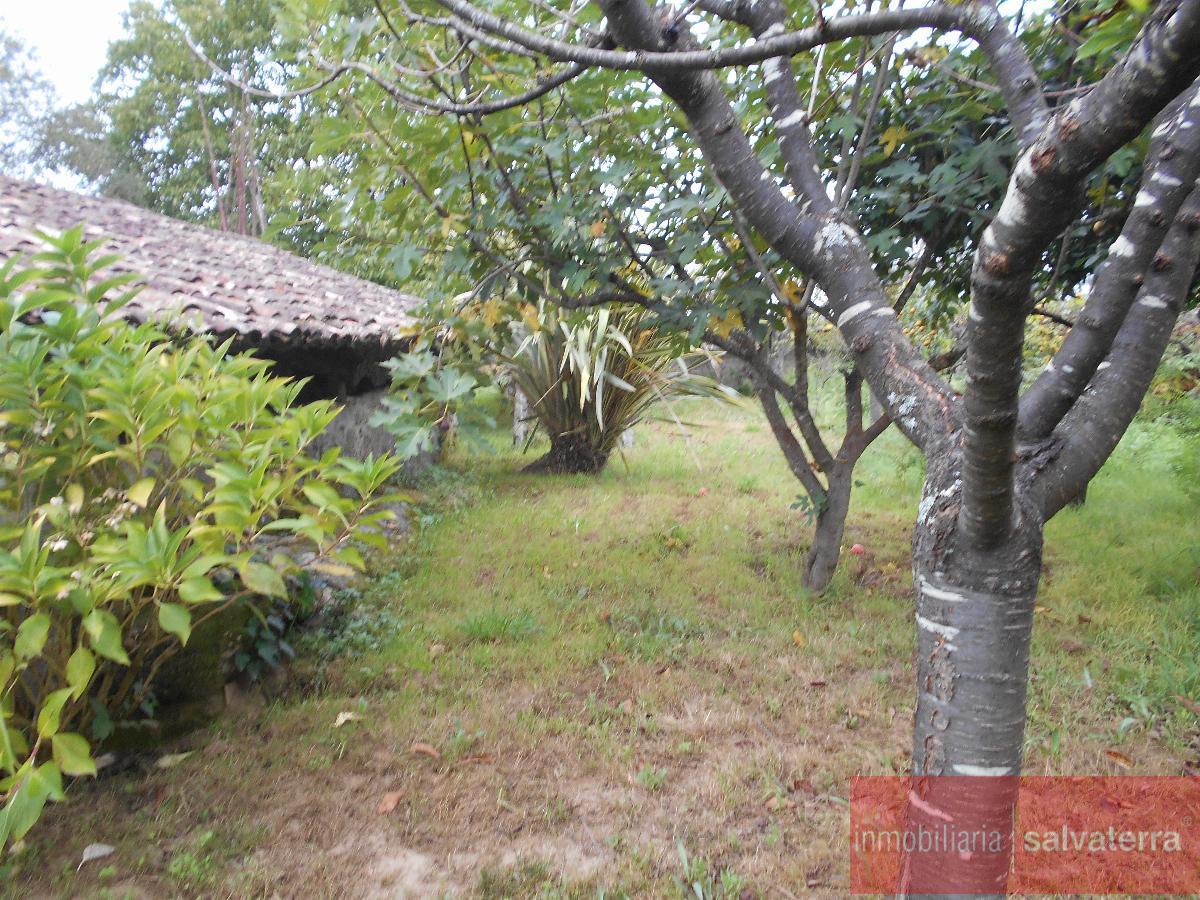 For sale of house in Salvaterra de Miño