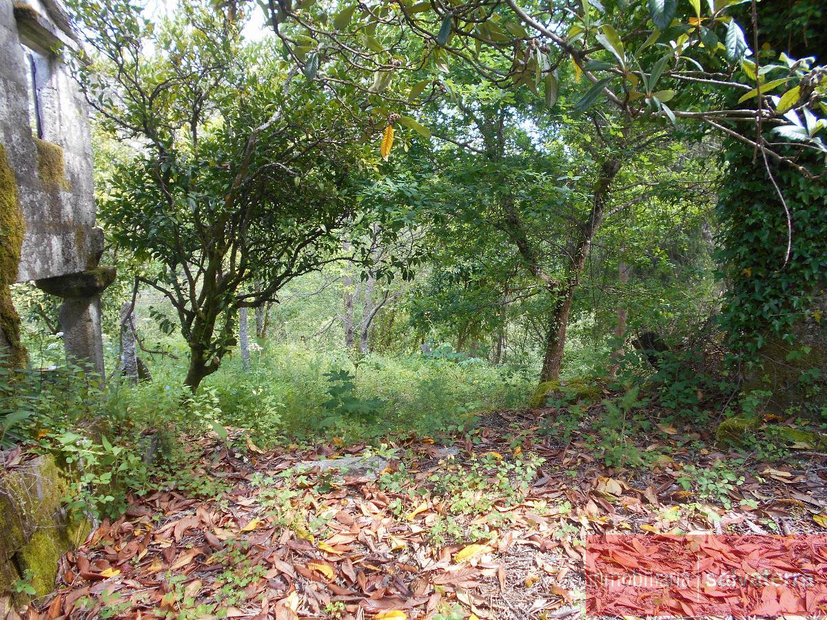 For sale of house in Covelo