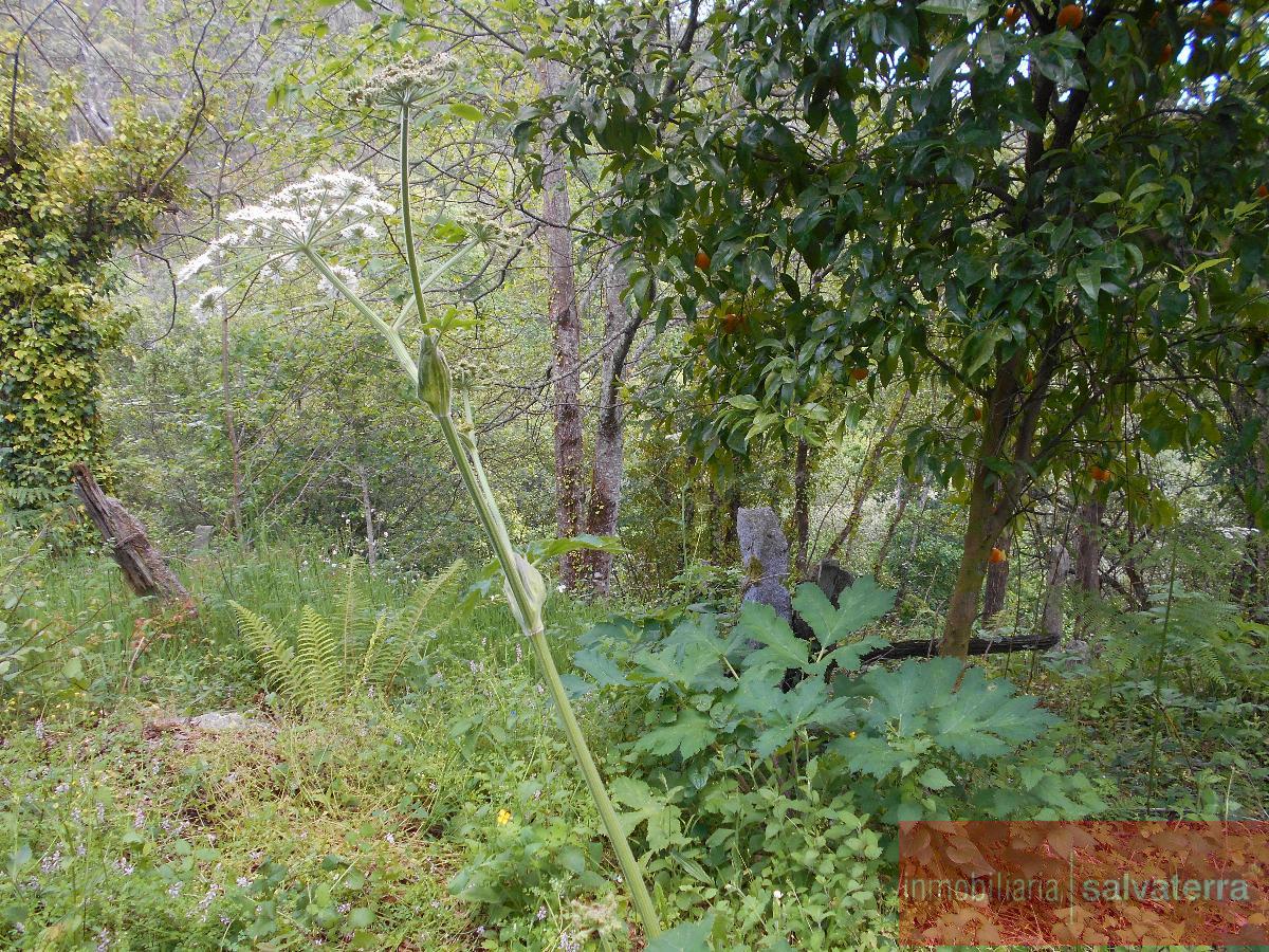For sale of house in Covelo