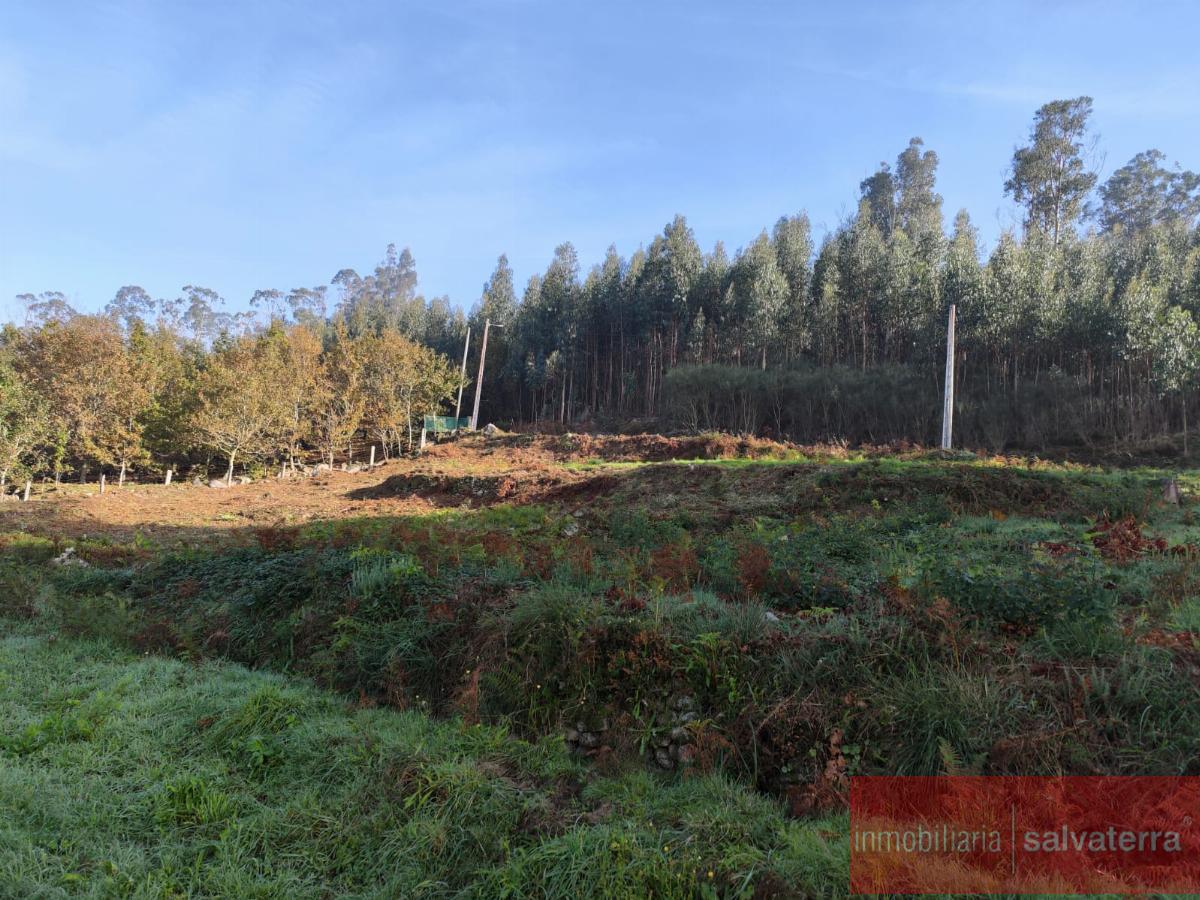 For sale of land in Neves As