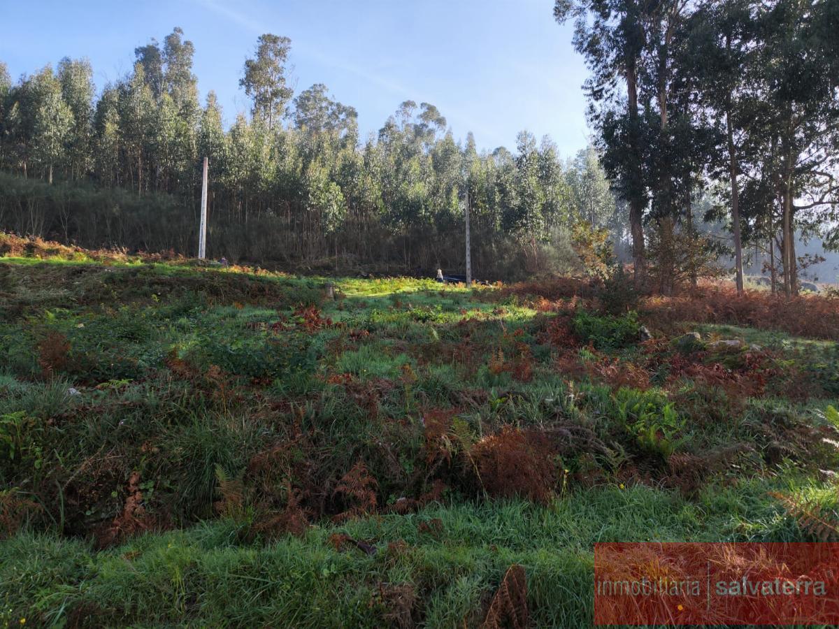 For sale of land in Neves As