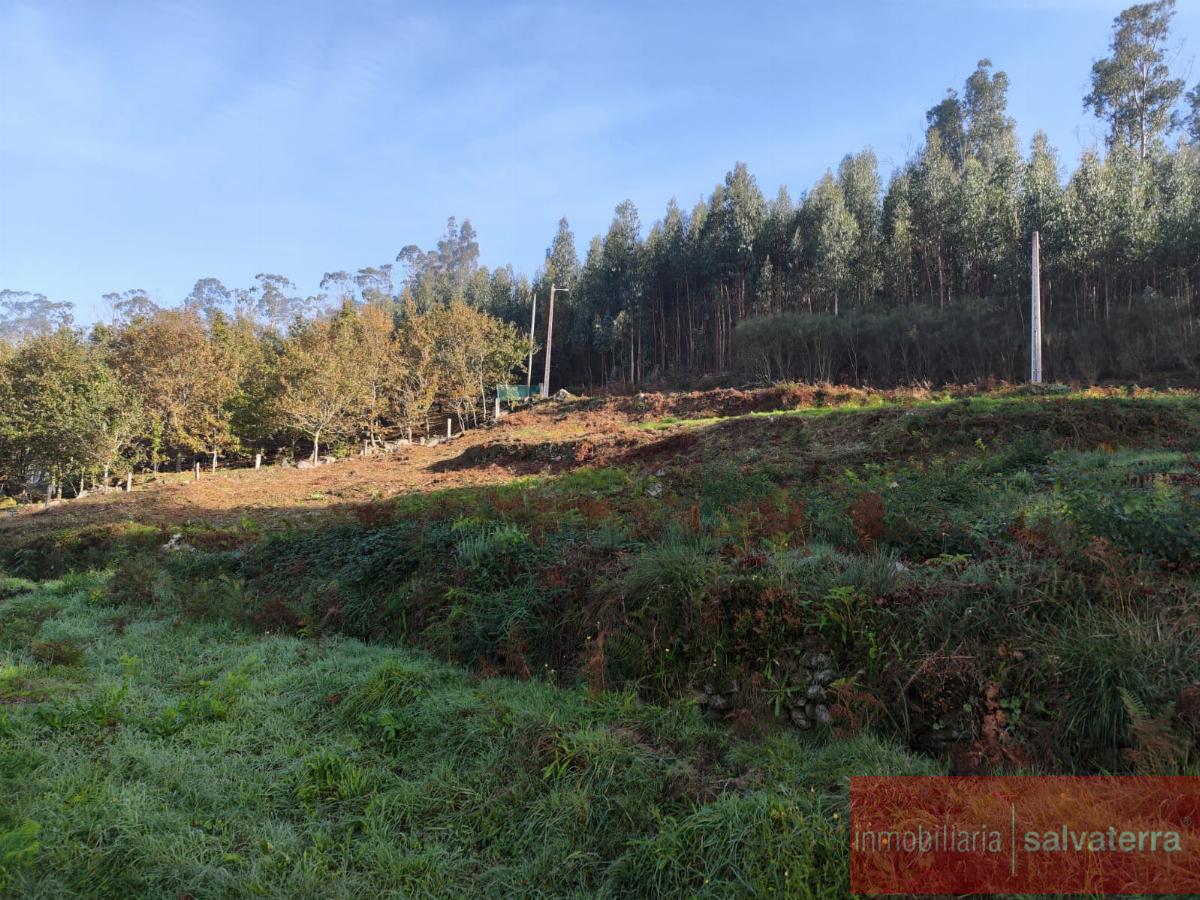 For sale of land in Neves As