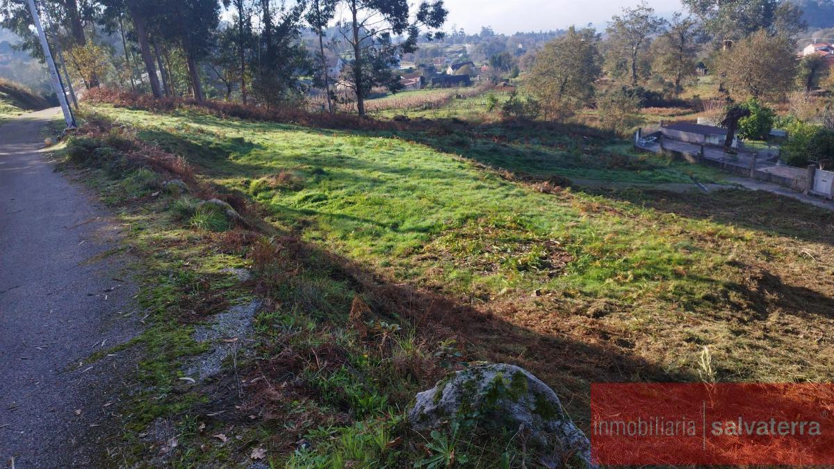 For sale of land in Neves As