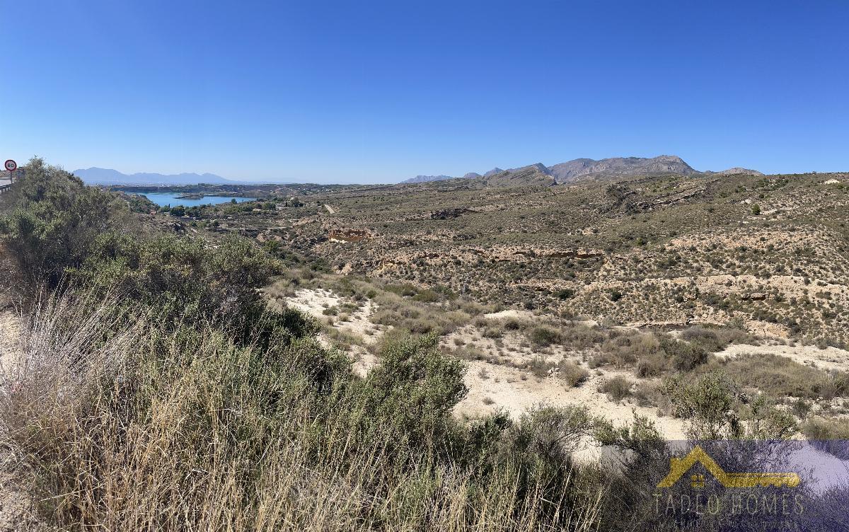 For sale of rural property in Aspe