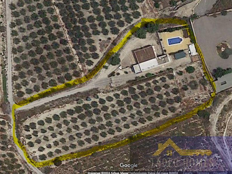 For sale of rural property in Aspe