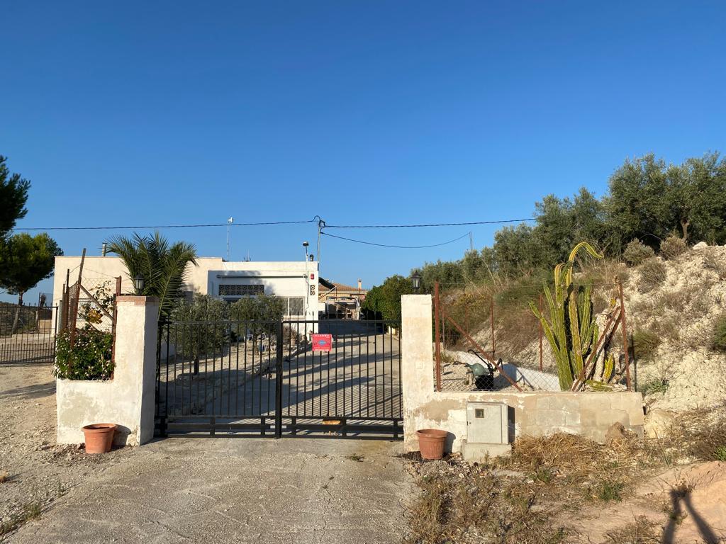 For sale of rural property in Aspe