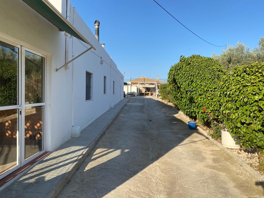 For sale of rural property in Aspe
