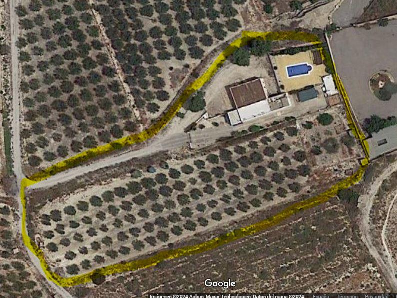 For sale of rural property in Aspe