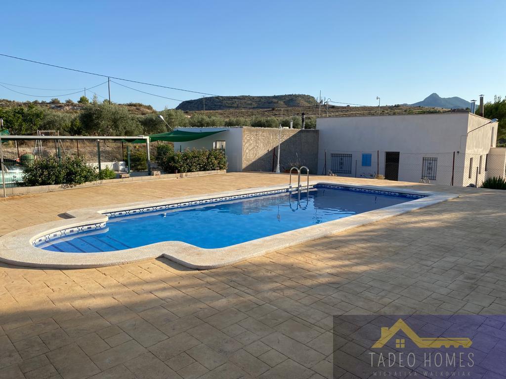 For sale of rural property in Aspe