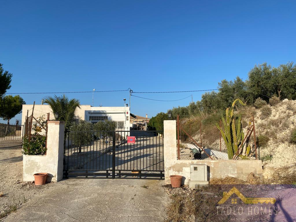 For sale of rural property in Aspe
