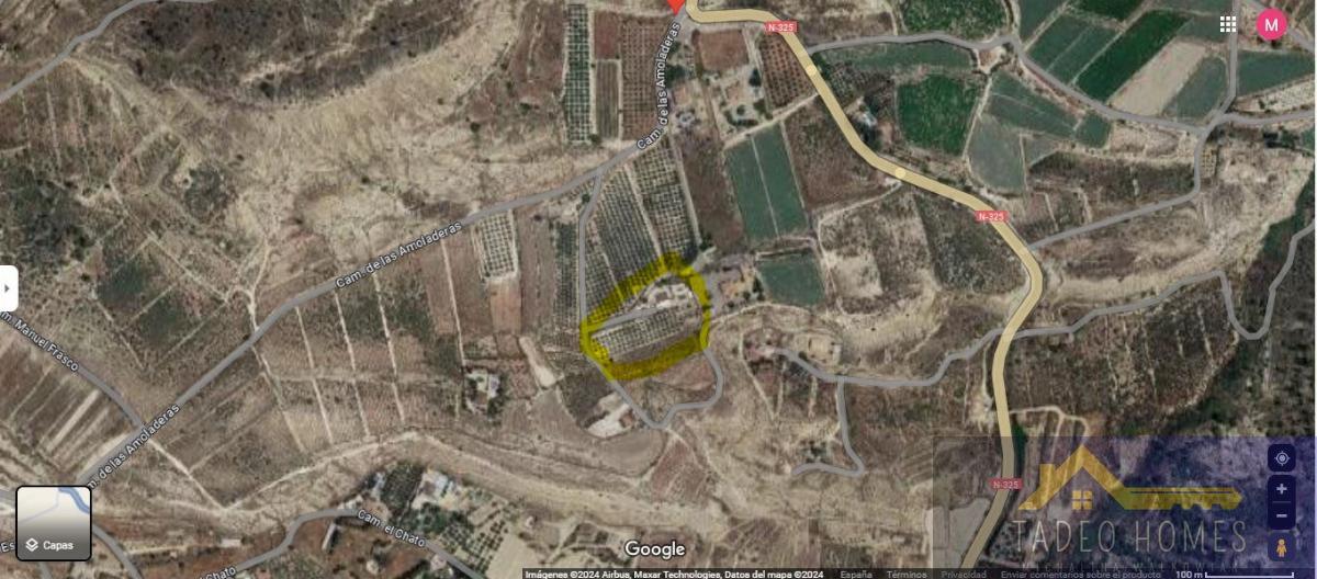 For sale of rural property in Aspe