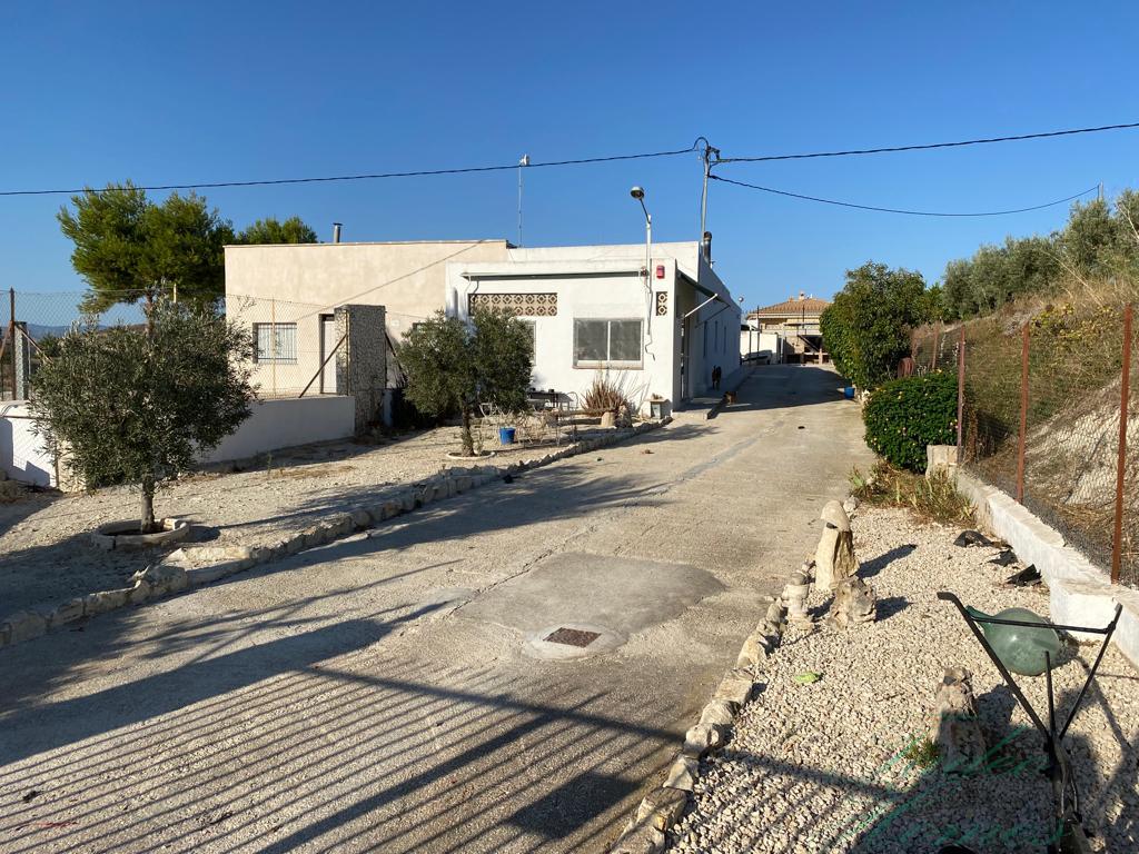 For sale of rural property in Aspe