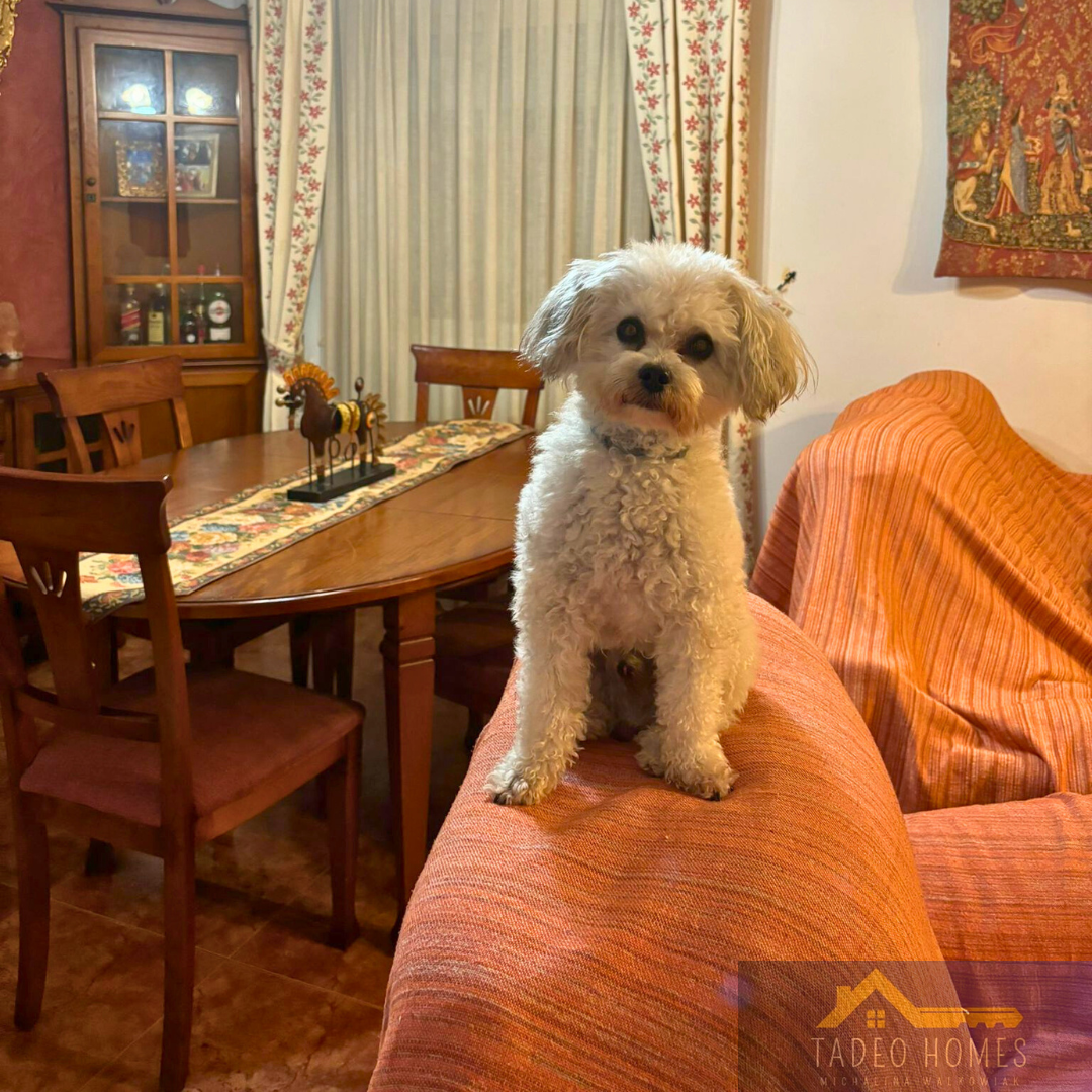 Vente de chalet dans Cartagena